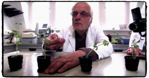 plantes 1